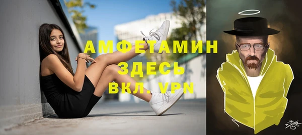 индика Балабаново