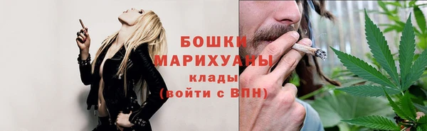 индика Балабаново