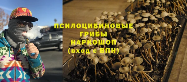 индика Балабаново