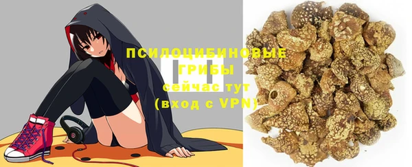 индика Балабаново
