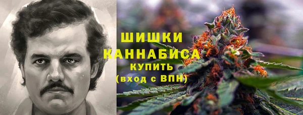 индика Балабаново