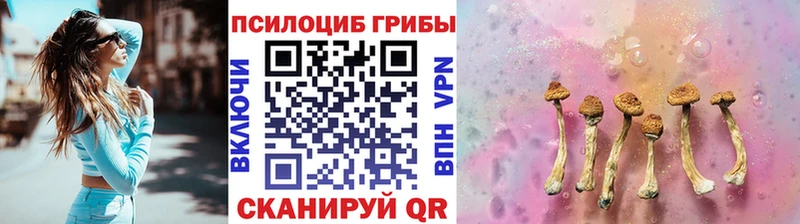 Псилоцибиновые грибы мицелий блэк спрут вход Радужный